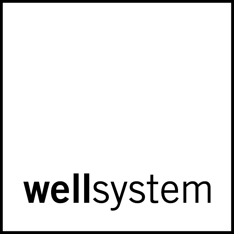 HCM Summit 2025 Bronze Partner, wellsystem wellsystem logo